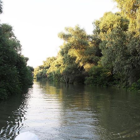 Agropensiunea Beluga Gorgova Exteriér fotografie