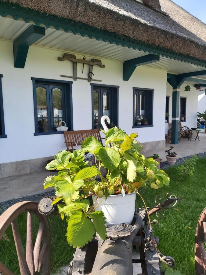Agropensiunea Beluga Gorgova Exteriér fotografie