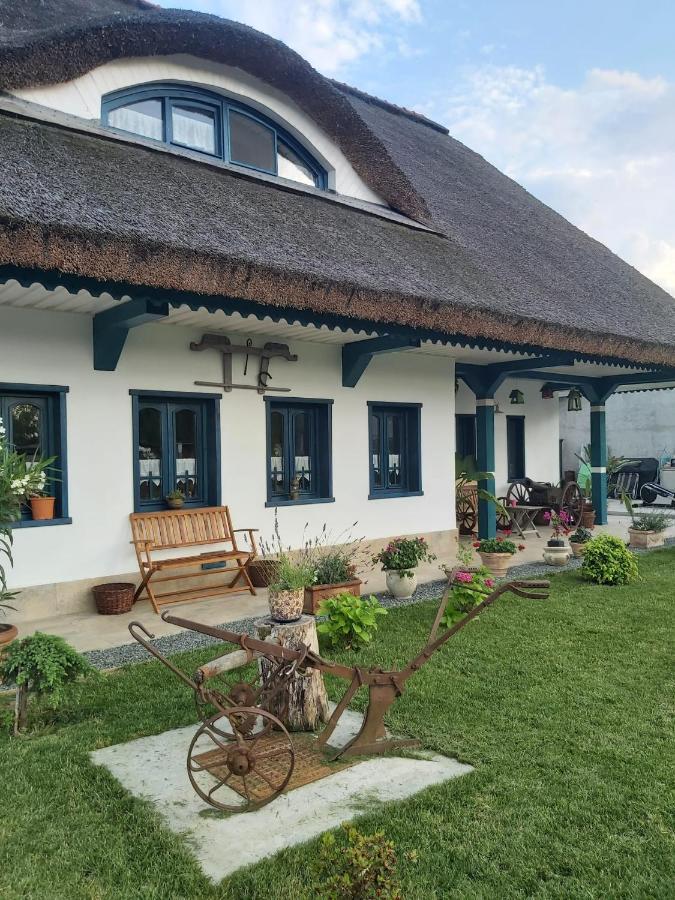 Agropensiunea Beluga Gorgova Exteriér fotografie