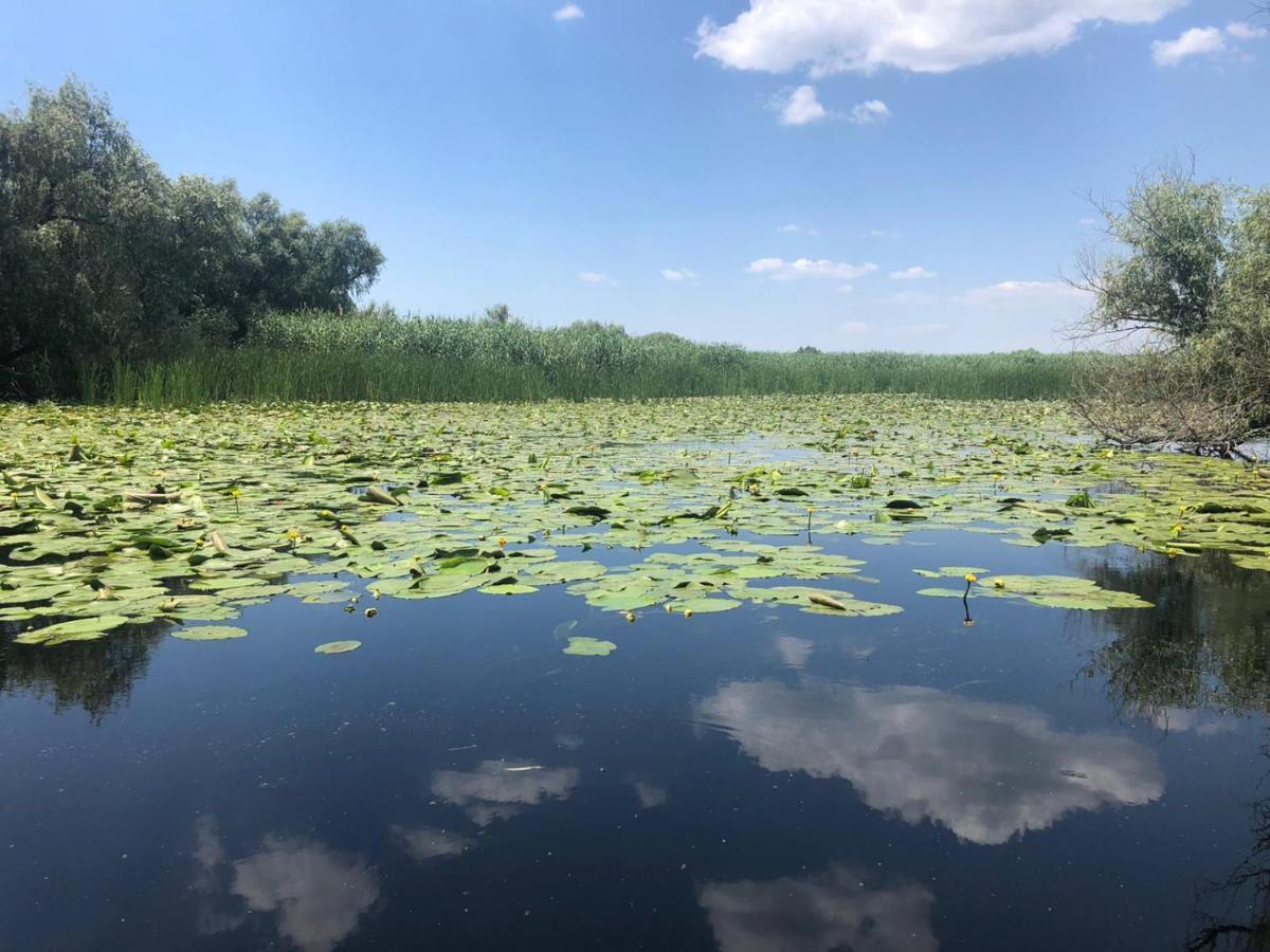 Agropensiunea Beluga Gorgova Exteriér fotografie