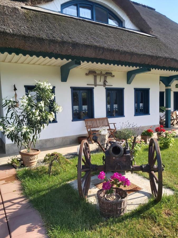 Agropensiunea Beluga Gorgova Exteriér fotografie